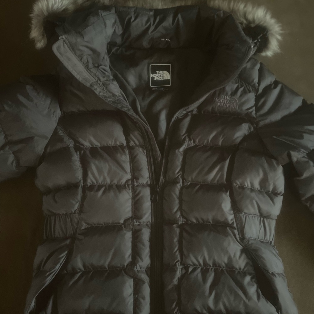 The North Face Women’s 550 puffer jacket size M in excellent condition